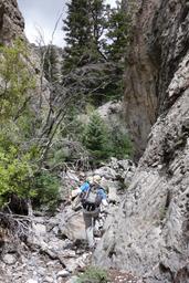 Stanley in the narrows [sun may 24 15:17:38 mdt 2015]